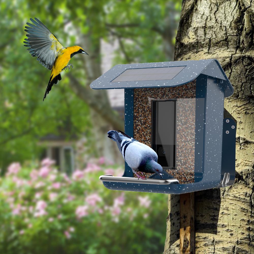 Solar Powered Outdoor Smart AI Recognition Bird Feeder with Camera