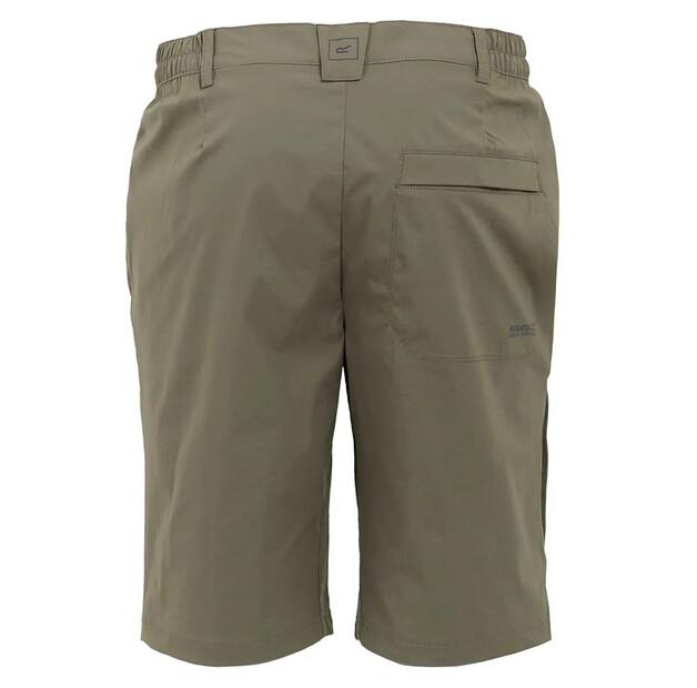 Regatta Highton II Shorts