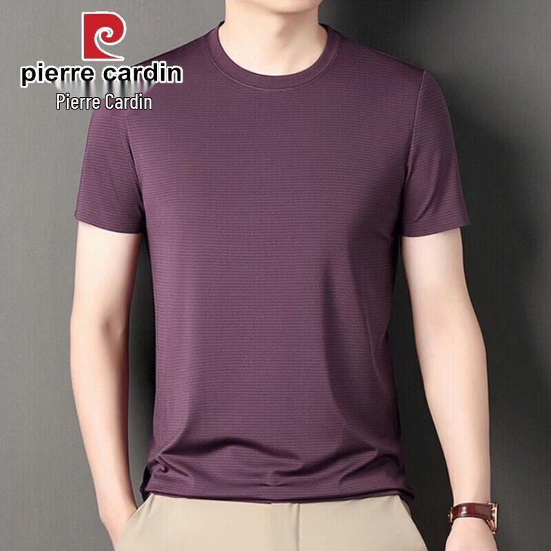 Pierre Cardin Men s Ice Silk Crew Neck Short Sleeve T-shirt L