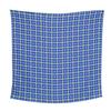 OGI blue butterfly check scarf square