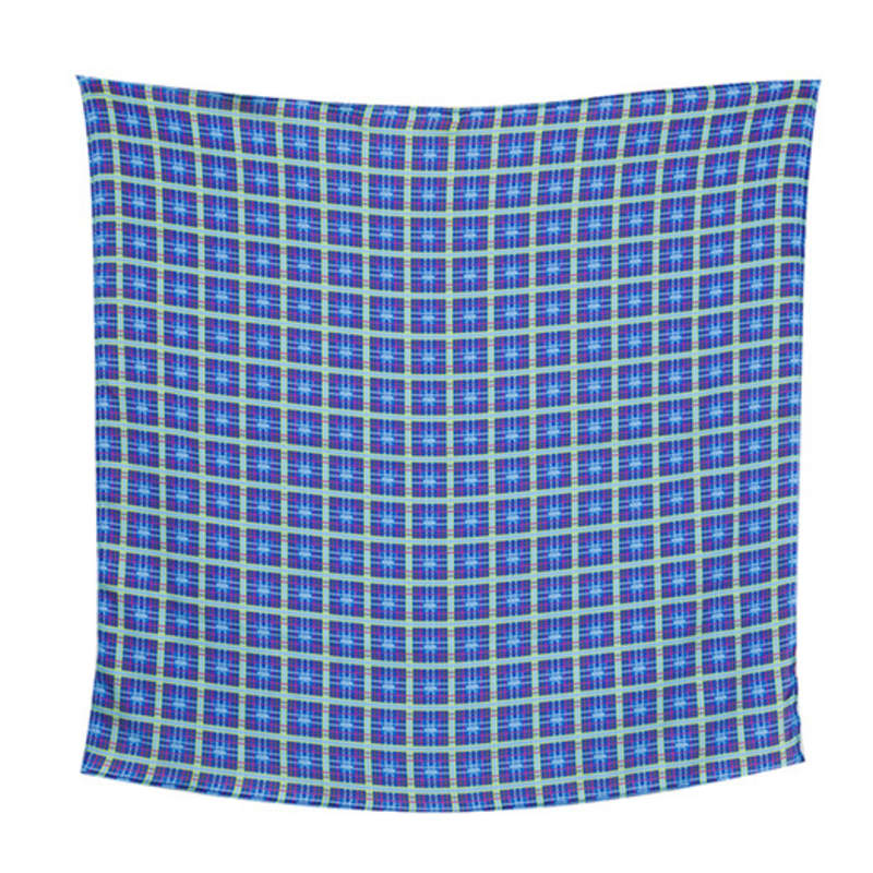 OGI blue butterfly check scarf square