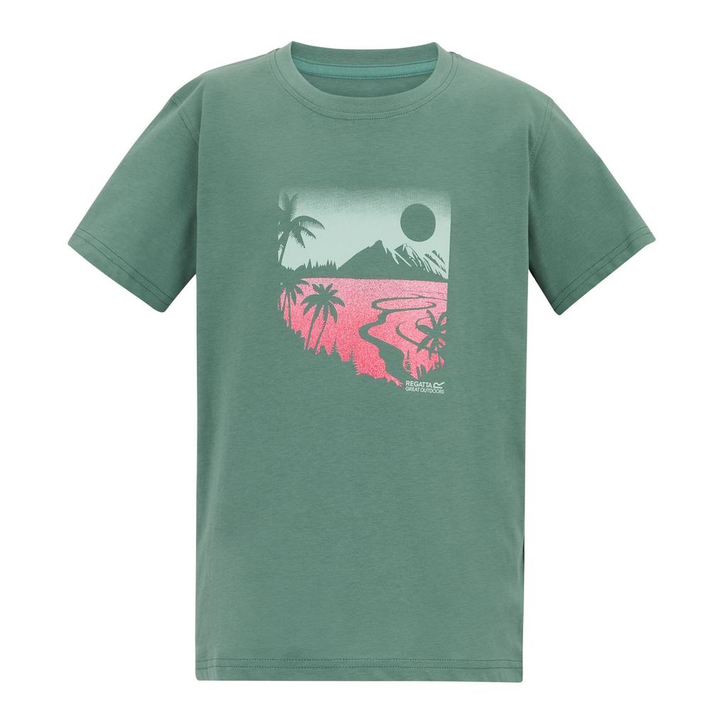 Regatta Childrens/Kids Bosley Artwork T-Shirt
