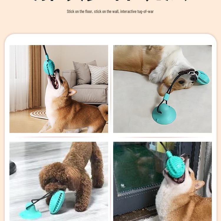 Hundespielzeug: Beißfester Saugnapf-Zerrball zur Zahnpflege, Selbstbeschäftigung und zum Abbau von Energie