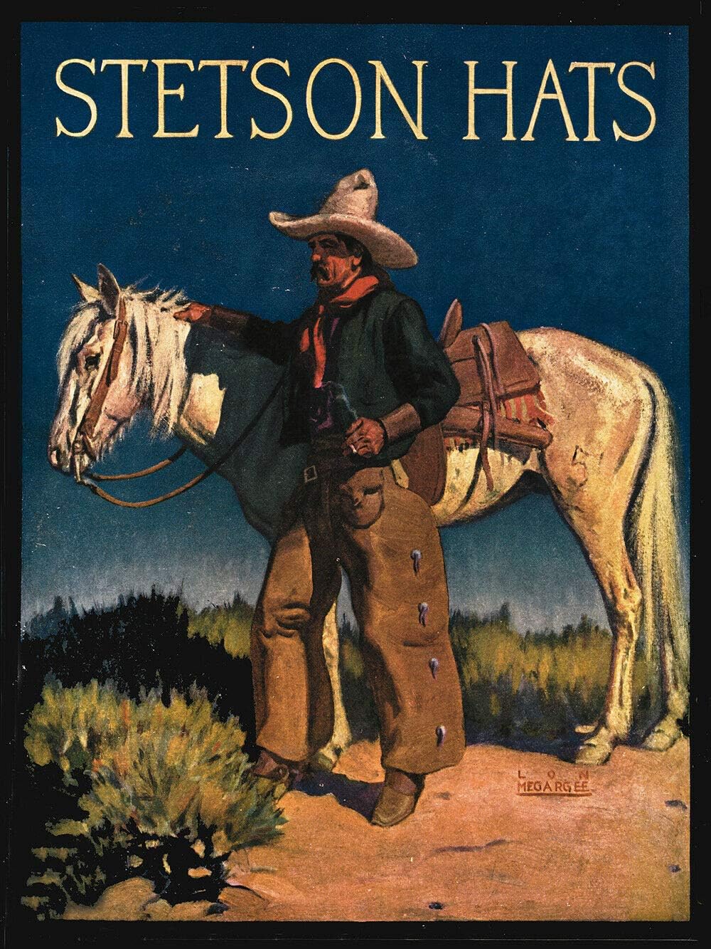 

Шляпы Stetson Ковбойская металлическая жестяная табличка Жестяная табличка Ретро-плакетка Настенный декор Для дома Сада Кухни Паба Бара Кафе Мужская комната 20x30cm（7.8x11.8inch）