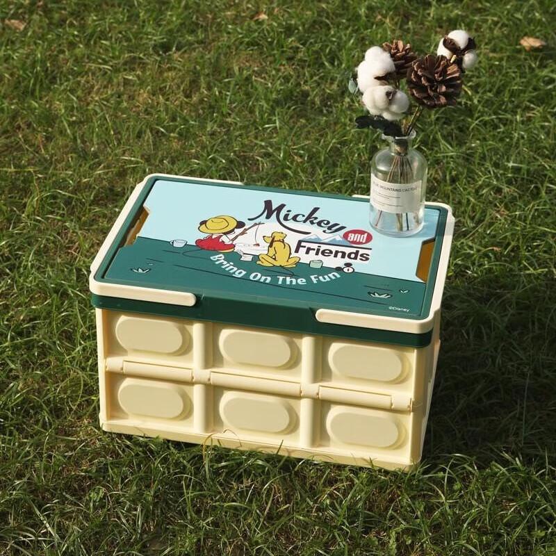 Disney Mickey Family 30L Picnic Storage Box