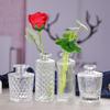 Nordic Glass Vase: Elegant Hydroponic and Dried Flower Decor for Office or Home.