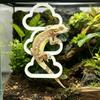 Plastic Reptile Climbing Ring Cloud Shape Climbing Hoop Chain 3-Ring Climber  Habitat