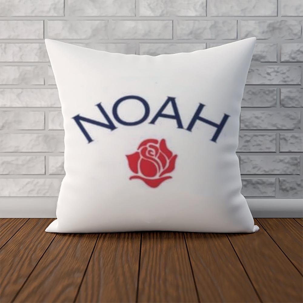 NNOAH Pillow Case For Car Sofa Decorative Home Doublesided Print Plush Square Throw Pillow Cushion Cover