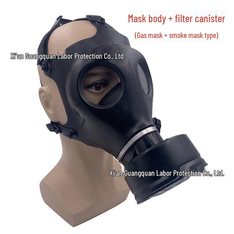 SANSHENG Full Face Gas Mask with Filter One Size