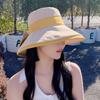 Dayan sun hat summer new peach skin velvet bucket hat women's outdoor travel sun hat seaside beach hat