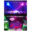 LED Fish Light Round Shape Multi Color Changing Pond Lights For Outdoor