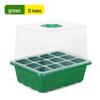 Heightened Seedling Box with Cover - 6/12 Holes, 3-Piece Set for Succulents & Vegetables