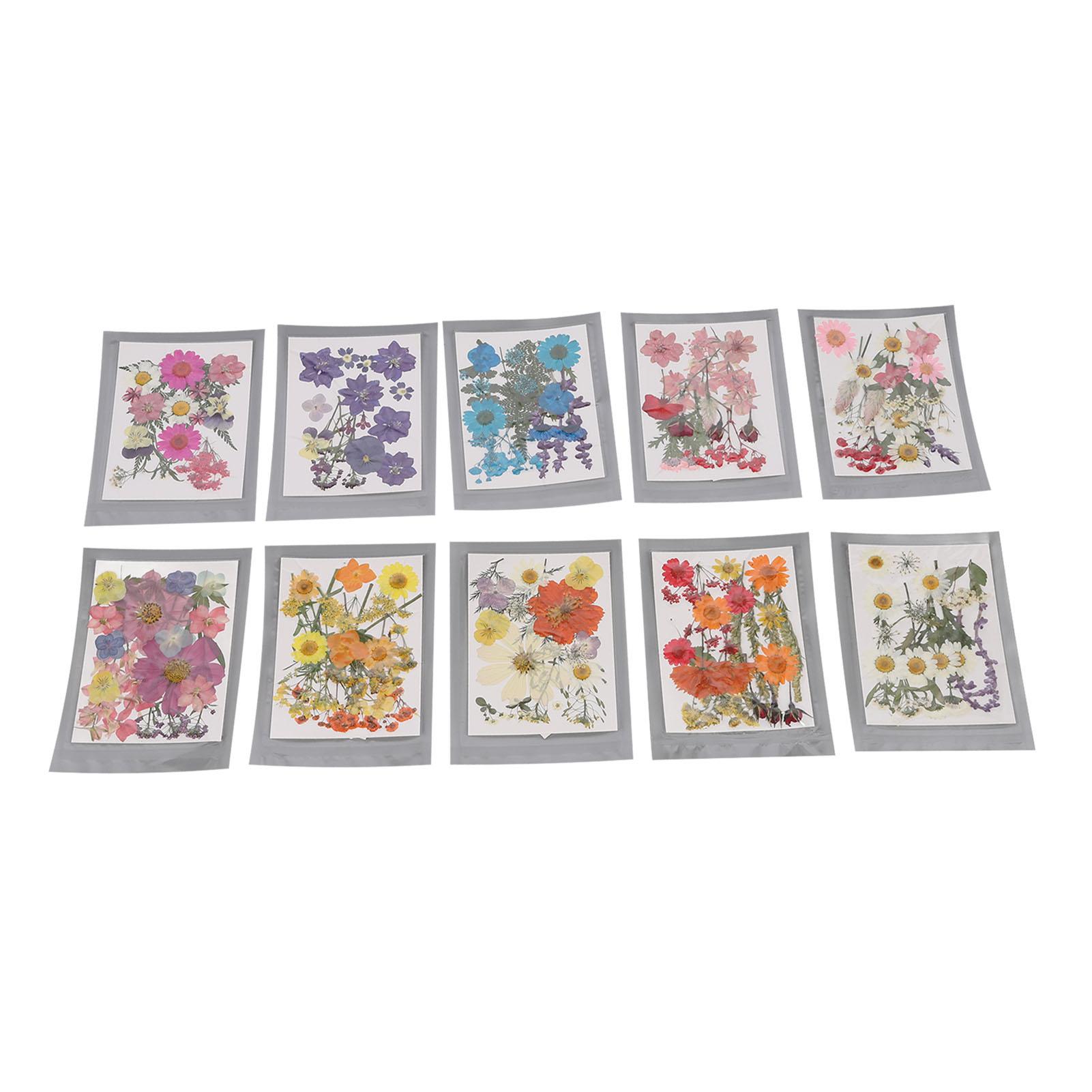 

18 шт. прессованные цветы сушеные листья набор для поделок смоляные формы скрапбукинг аксессуары своими руками