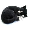 Fattoria Nogawa Gatto che Dorme A (Otto-Crepato)