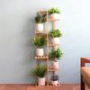 UNHO Blumenständer Blumenregal Bambus Blumenständer 6 Etagen Hoch Schmal Gartenregal Zimmerpflanzen Blumentöpfe Töpfe Bonsai Ständer Innen Außen Natur