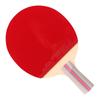 DHS Bordtennisracketer