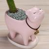 Drăguță pisică ghiveci de flori ghiveci suculente vază din ceramică de interior decor de grădină decorare ghiveci ghiveci cactus