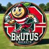 Ohio State Brutus Buckeye Iron Metal Wall Art for Man Cave Home Decor