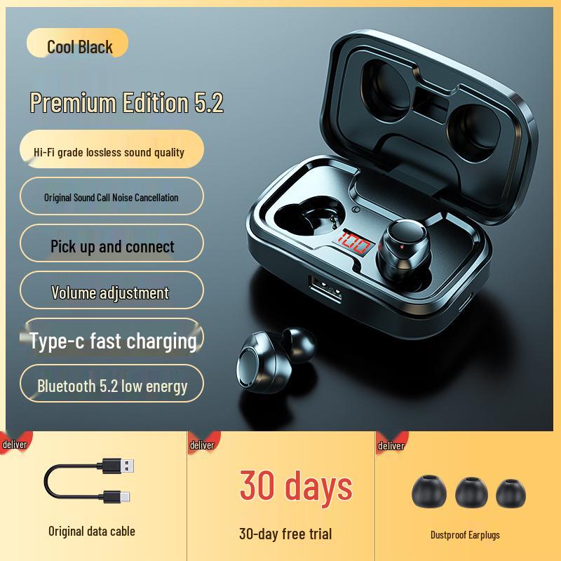 TWS-X10 Bluetooth Earbuds 5.4 In-ear Private Mold Wireless Dual Earphones