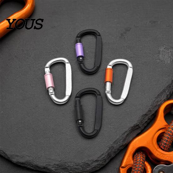 Aluminium Karabiner 4 Stück Heavy Duty Clip, Legierung Outdoor Schlüsselanhänger Karabiner, D-förmige Metallhaken Schnalle für Wasserflasche, Schlüssel, Rucksack