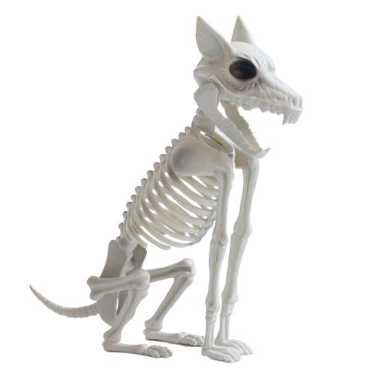 Halloween Skeleton Animal Decoration Creepy Cat/Dog/Bird/Rat/Goat Head Plastic Bones for Courtyard Graveyard Halloween Decor