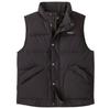 Patagonia Downdrift Vest