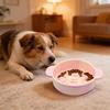 Dog Slow Feeder Bowl Slow Feeding Dog Food Dish Silicone Pet Food Bowl Prevents Choking for Fast Eaters Dogs And Cats