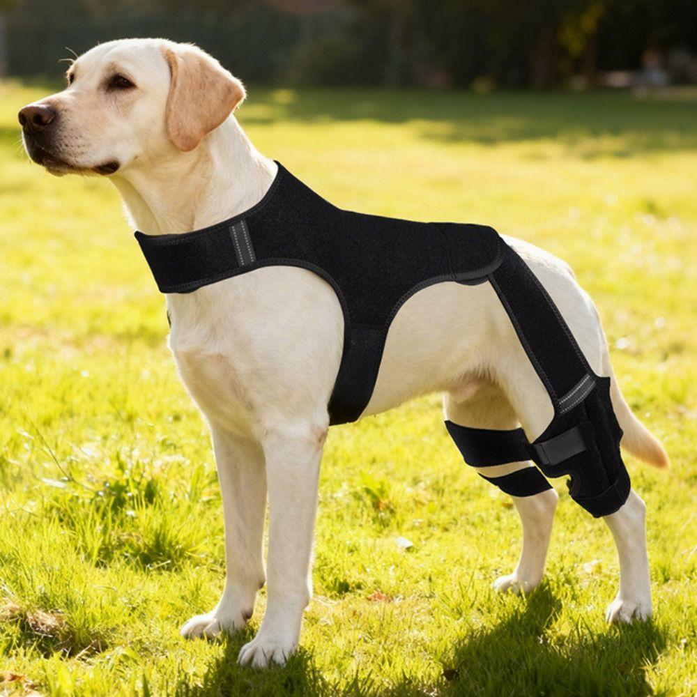 Tutore Posteriore Regolabile per Cane Copertura Protettiva Traspirante per Gomito Tutore per Ginocchio Cane Protezione Ferite