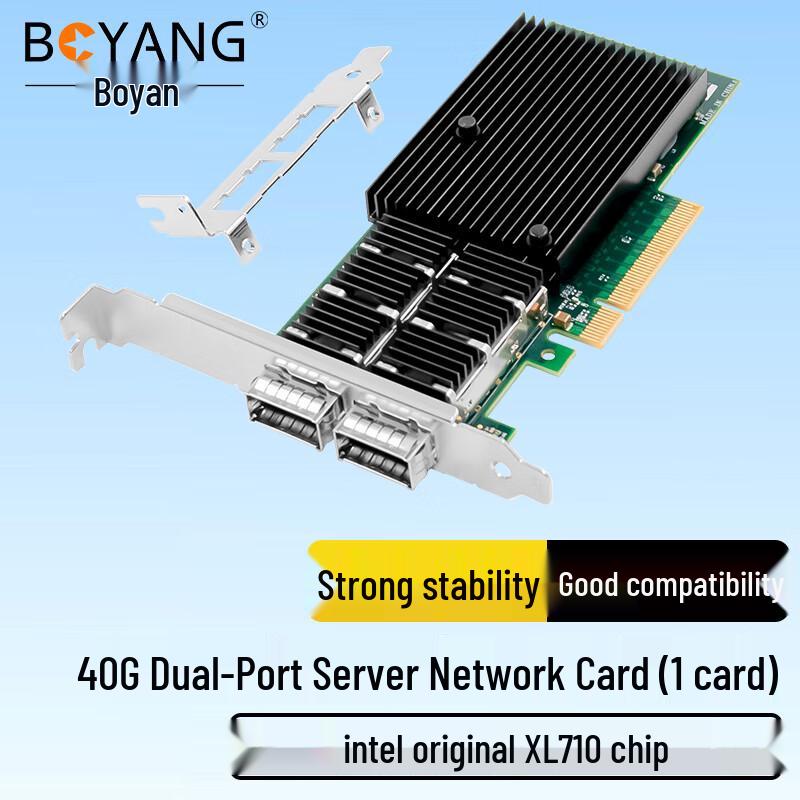 Boyang Intel PCI-E Server Network Adapter (CN Version)