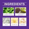 Long-lasting Freshness and Whitening with Gentle Purple Teeth Powder