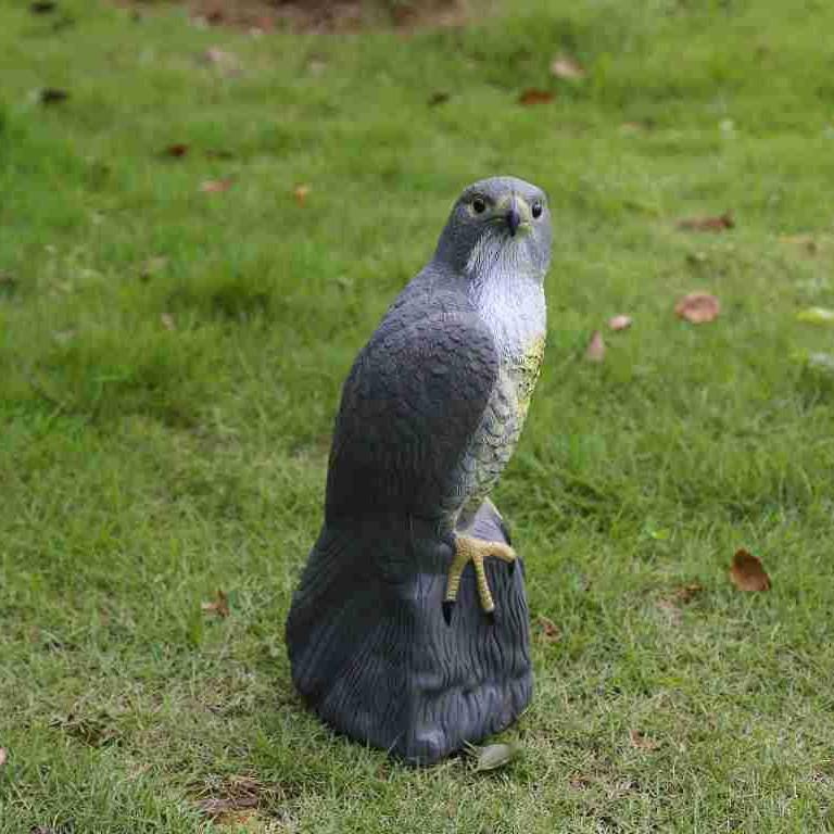 Outdoor Eagle Ornament: Pastoral Bird Repellent Simulation Decoy Model
