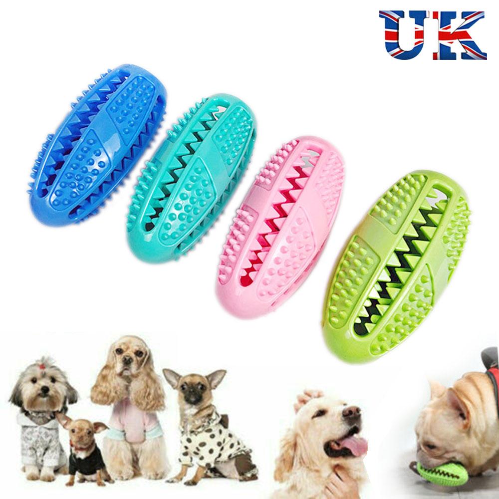 dog tooth brushing stick