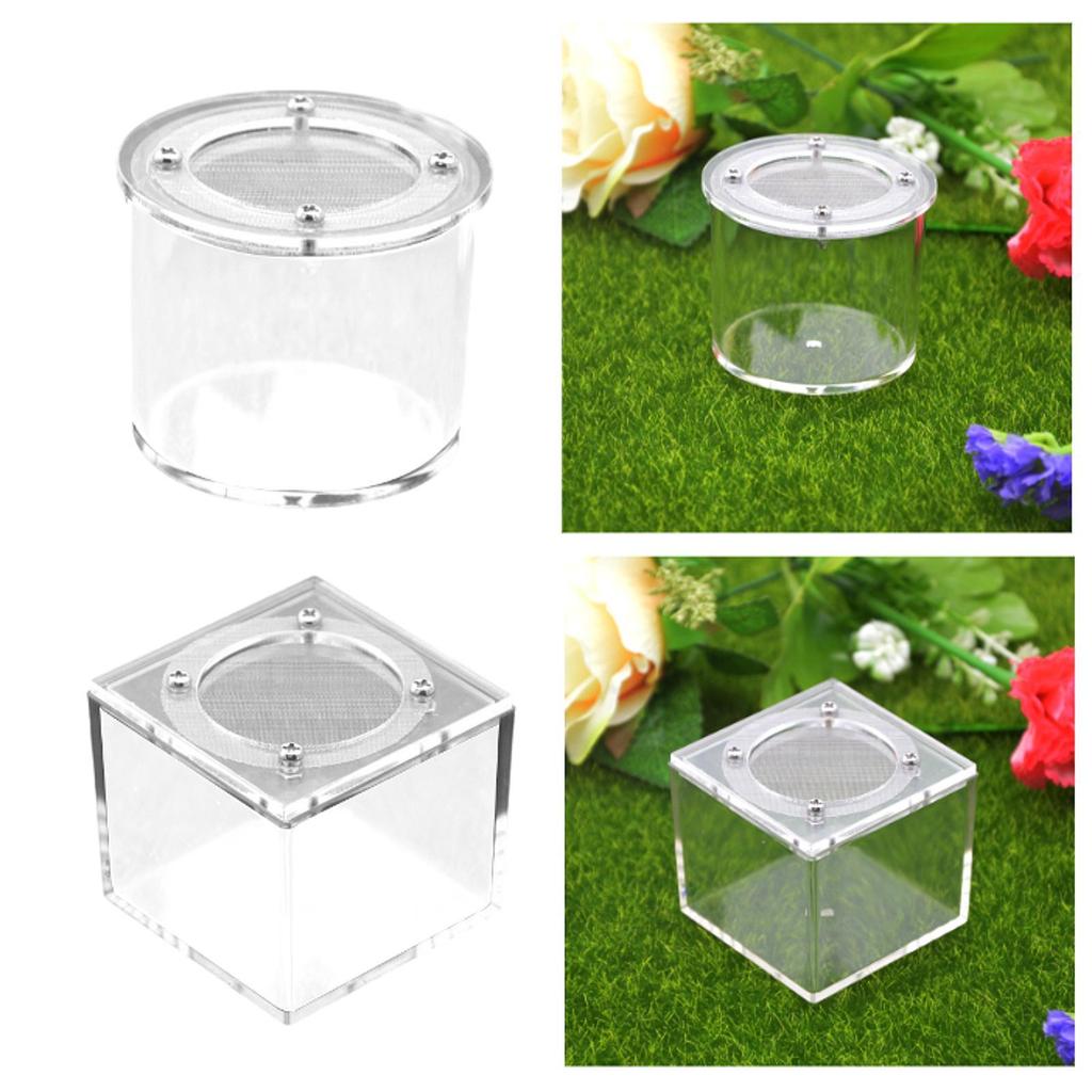 Reptile Breeding Box Spider Box Acrylic Sturdy Small Terrarium Breeding Tank Transparent Reptile Tank for Gecko Scorpions