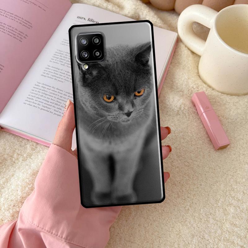 British Shorthair Cat For Samsung Galaxy A56 A54 A34 A14 A06 A16 A26 A36 A12 A32 A52 A13 A33 A53 A15 A35 A55 Case