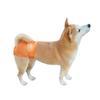 Breathable mesh hole pet physiological pants, Velcro female dog panties, adjustable waistline dog polite belt hot sale