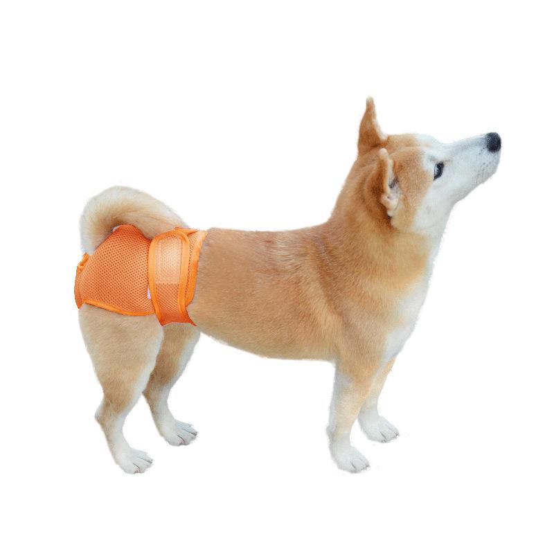 Breathable mesh hole pet physiological pants, Velcro female dog panties, adjustable waistline dog polite belt hot sale