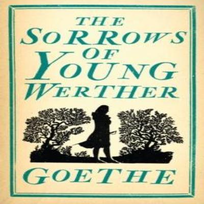The Sorrows of Young Werther by Johann Wolfgang Von Goethe Paperback Book 9781847494047