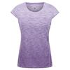 Regatta Dame/Damer Hyperdimension II Ombre T-skjorte