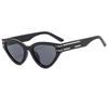 Vintage Cat Eye Sunglasses Women Men 2024 Brand Designer Fashion Goggle Sun Glasses Female Trends Shades Outside Eyewear UV400