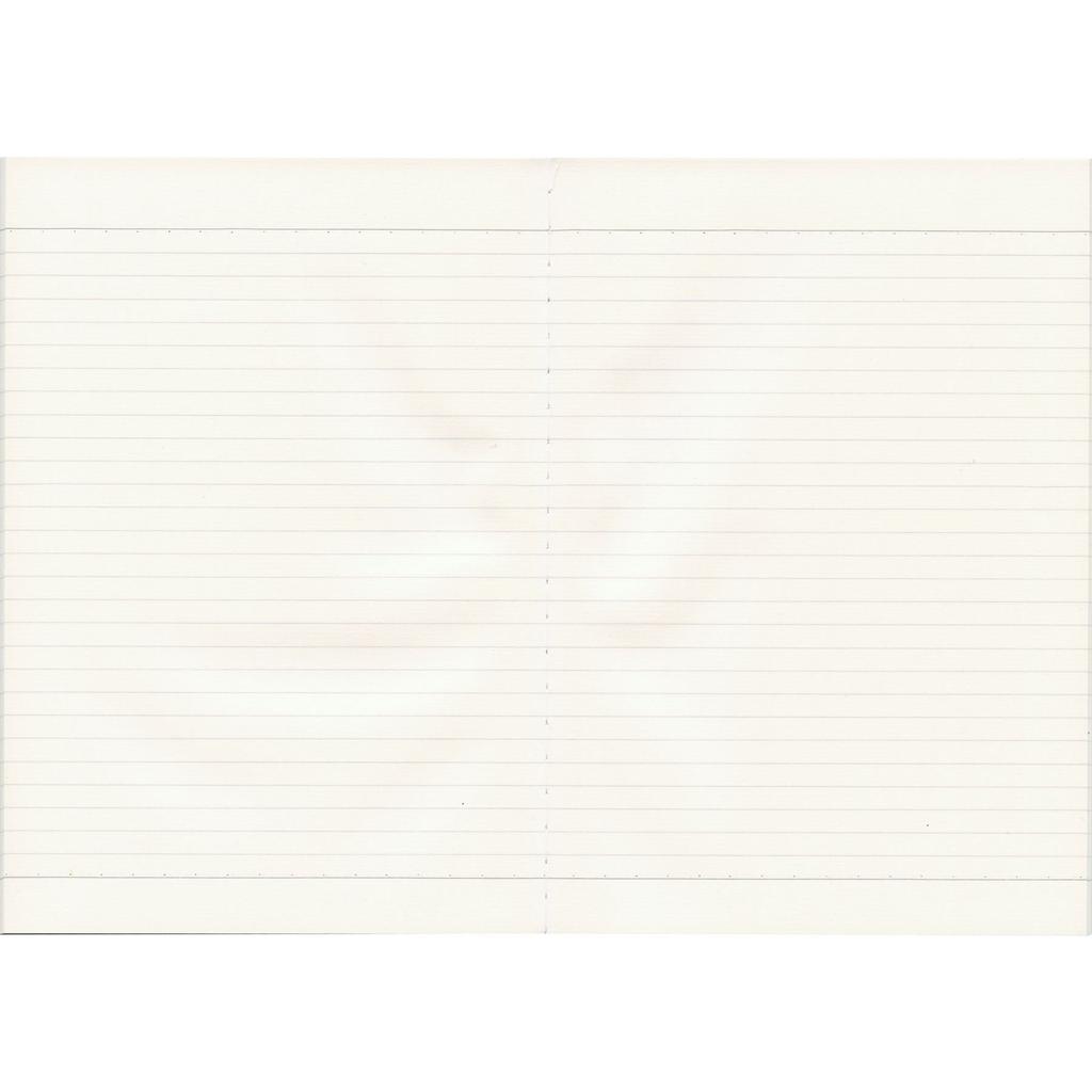 Tsubame Note B5 Notebook, Ruled, Charlie Brown & Snoopy Edition, SPS288