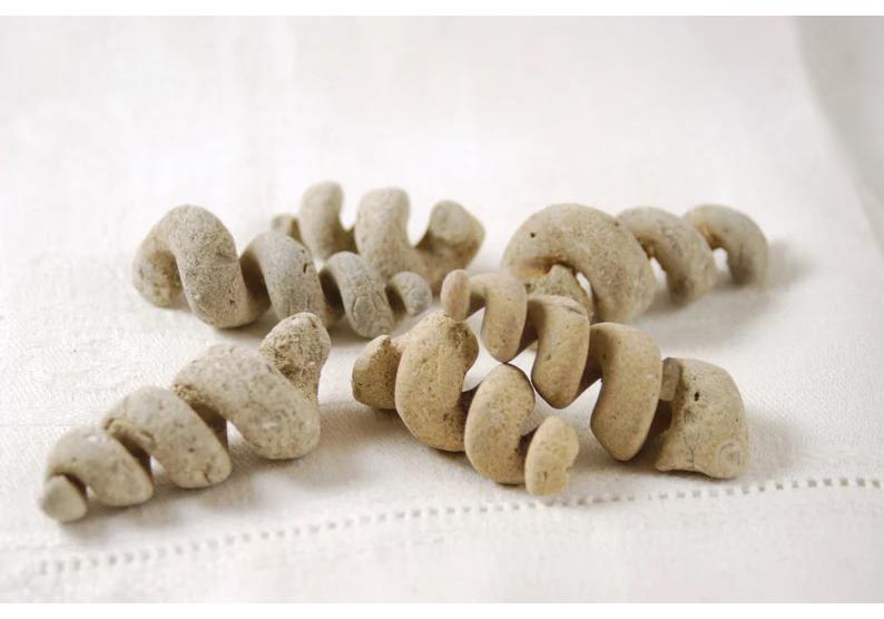 Natural Crystal Mineral Specimen Turritella Fossils Spiral Snail Shell Crystal