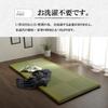IKEHIKO Noah Easy Igusa Sheet Pad, Single, Green, Approx. 90 x 200cm, Made in Japan, Filling: 40mm Solid Cotton #7557909
