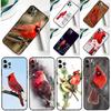 Cardinal Red Bird Phone Case For iPhone 16 Pro Max 11 13 14 15 Pro Max 12 Mini XR 16 15 Plus 16e Back Cover