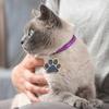 Pet Safety Charm for Collar Blingbling For Dog Cats Metal Pendant with Glittering Jewelry Making Accessories Multicolor