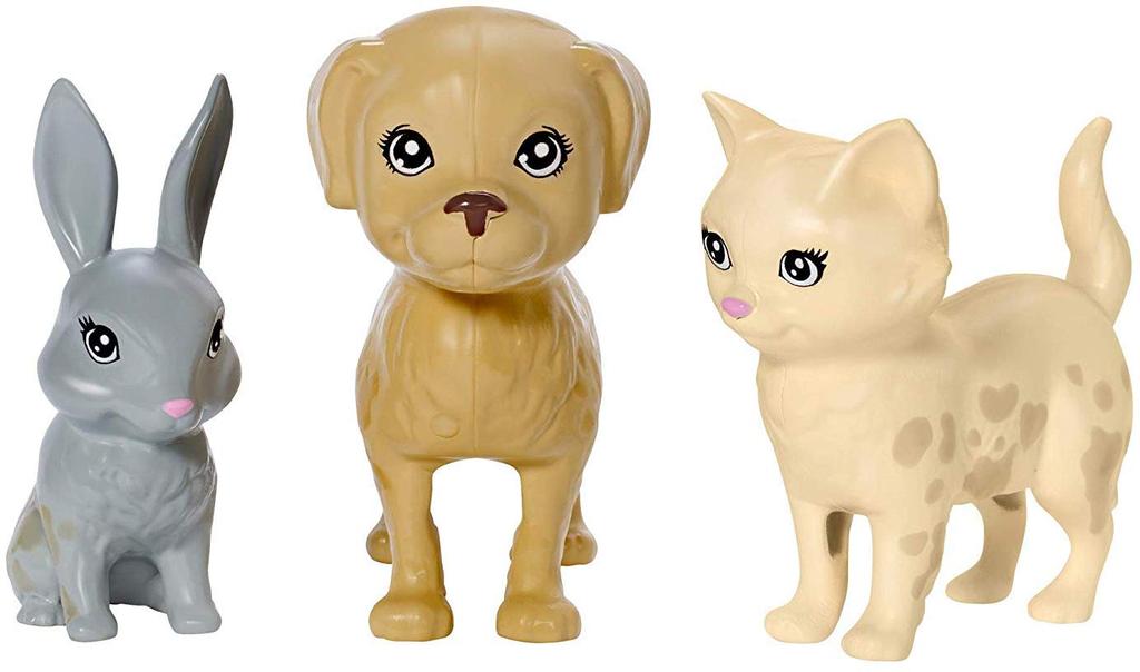 Barbie Pet Care Set Accessories for Ages 3 and Up (Dress-Up Doll, Set) (FXH11)