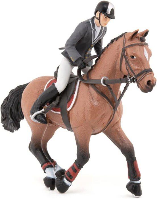 Cheval de concours et son cavalier