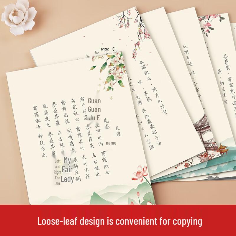 Zanhua Kalligraphie Übungs-Geschenkset - Kleine Schrift