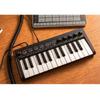 IK Multimedia iRig Keys 2 Mini iRig Series 32.413.95.4cm (including Protrusions)