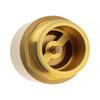 1 Inch Heavy Duty Check Valve - Bronze Backflow Preventer for Well Pump, Water Tank & Plumbing, Horizontal Flow One-Way Valve, Corrosion Resistant