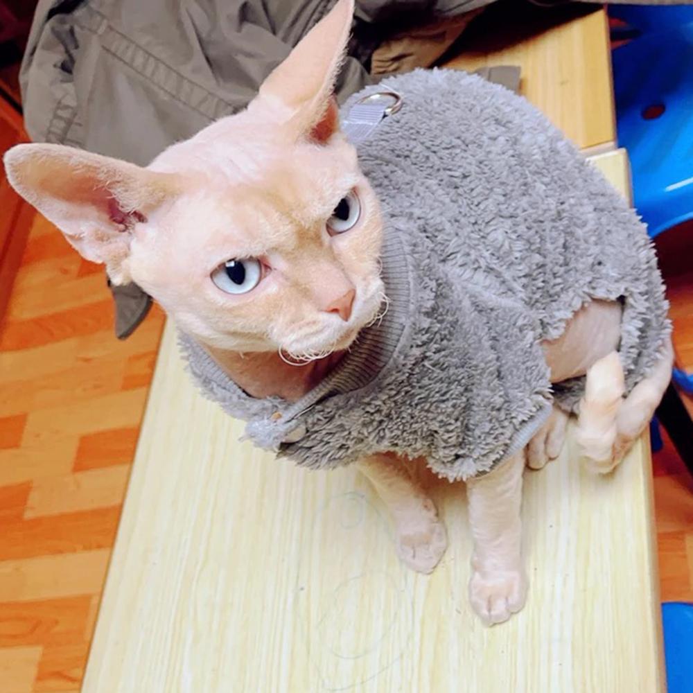 Warm Fleece Sphynx Cat Jumpsuit for Cats Gotas Winter Pet Overalls with Buckle Persian Chinchilla Dog Rompers Mascotas Costume